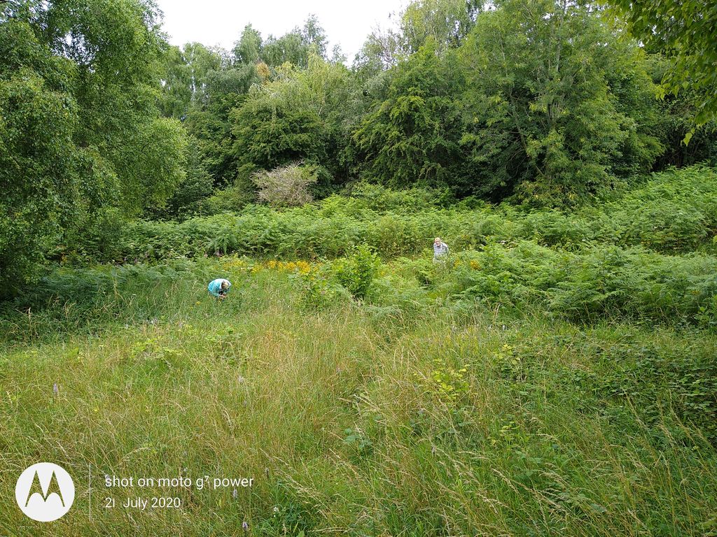 CANWOS Society Blog July